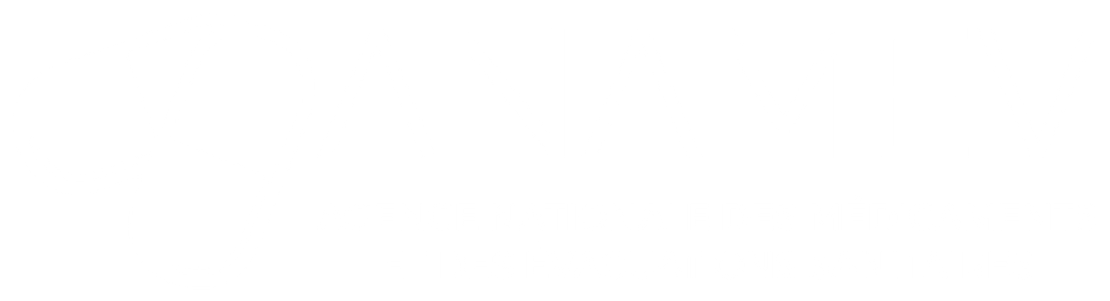 ANAMEV